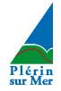 Logo Plerin
