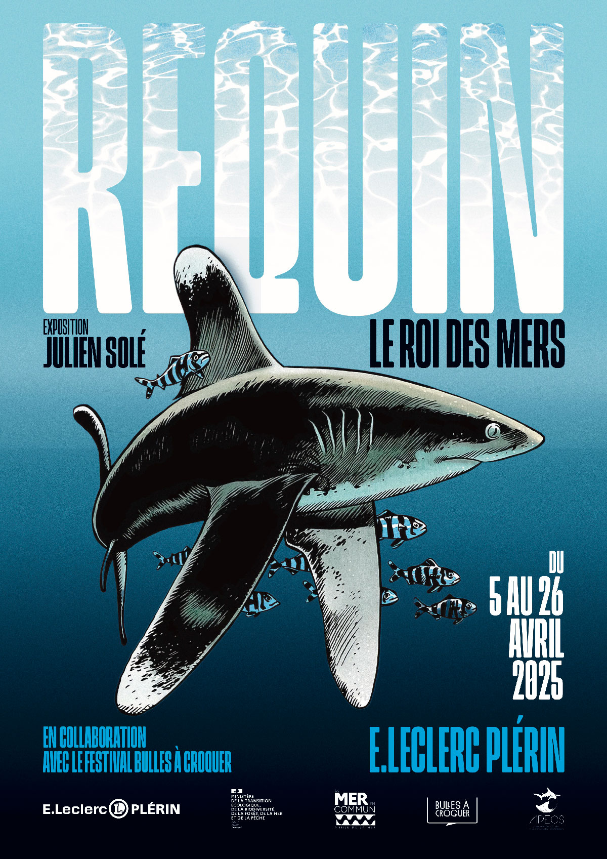 Affiche Exposition "Requin, le roi des mers"